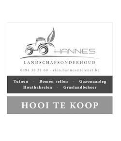 Rien Hannes Landschapsonderhoud